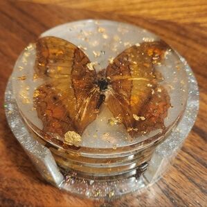 Coaster set with real taxidermy butterflies 🦋